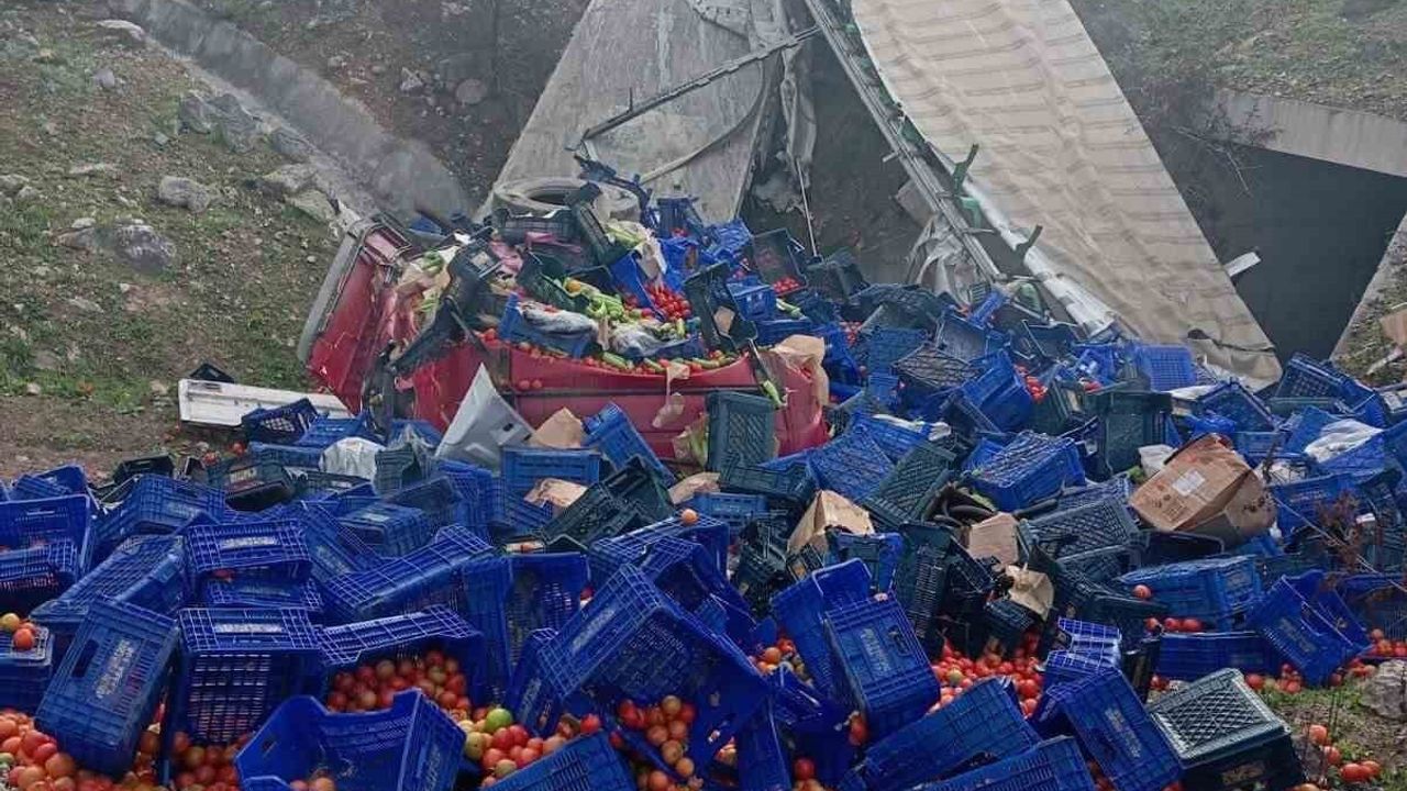 Bilecik'te sebze yüklü tır D-650'de bariyerlere çarpıp şarampole devrildi: 1 yaralı