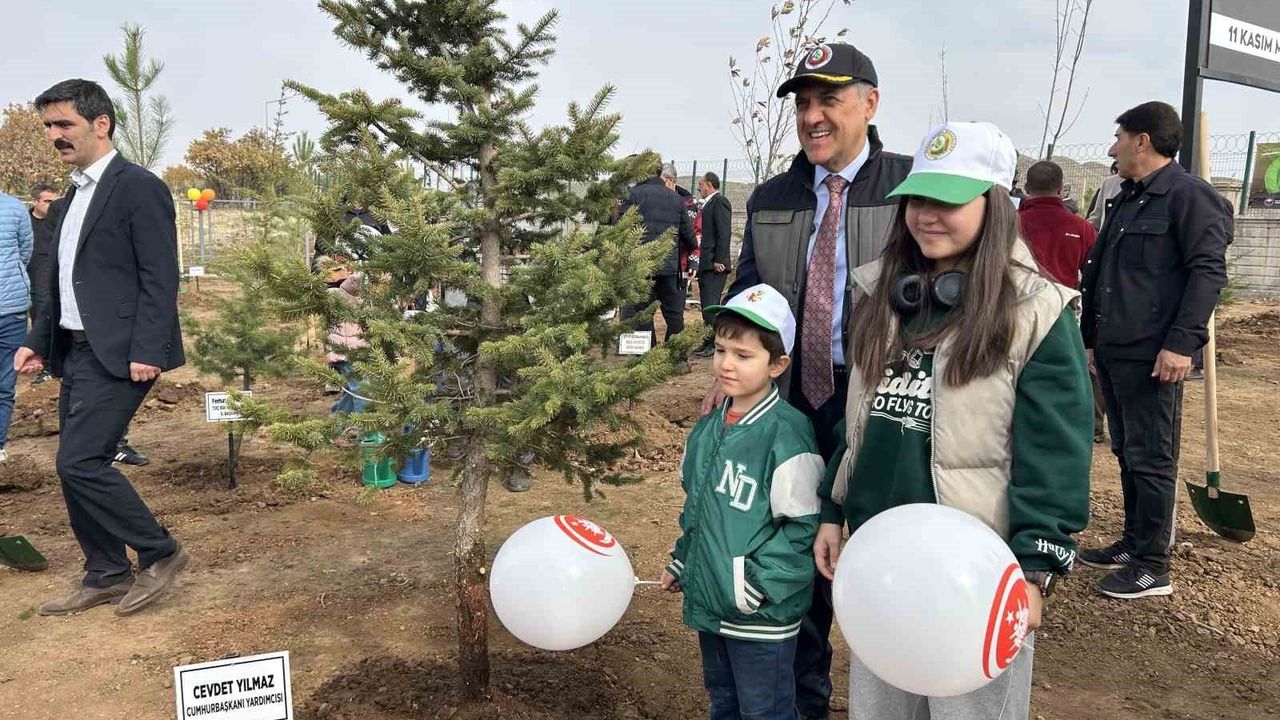 Bingöl'de 25 Bin Fidan Toprakla Buluştu — 11 Kasım Milli Ağaçlandırma Günü Etkinliği