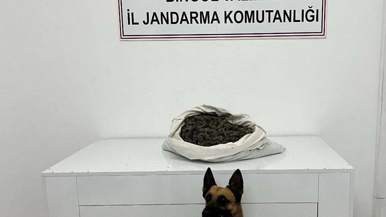 Bingöl'de jandarma operasyonunda 2 kilo 802 gram kubar esrar ele geçirildi