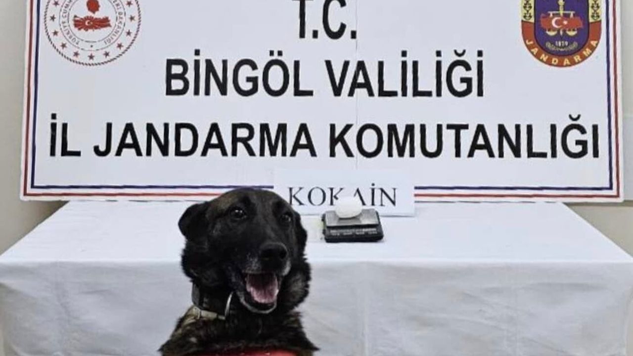 Bingöl'de jandarma operasyonunda uyuşturucu ele geçirildi, 1 kişi tutuklandı