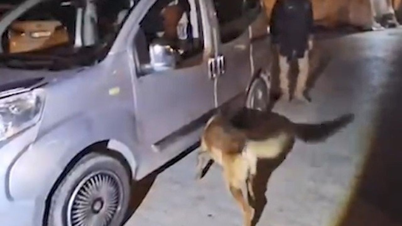 Bitlis'in Tatvan ilçesinde uyuşturucu operasyonu: 1 kişi tutuklandı