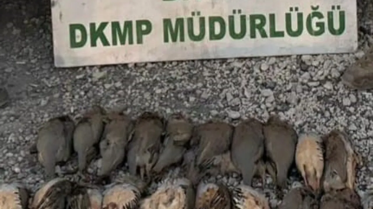 Bitlis'te kota ihlali: 5 avcıya 63.680 TL ceza