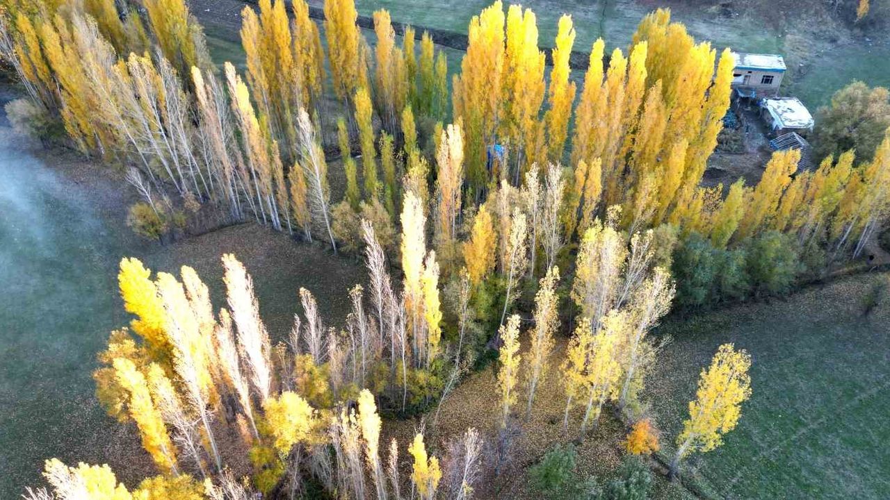 Bitlis'te Sonbahar: Sarı, Turuncu ve Kızıl Tonlarla Kartpostallık Manzaralar