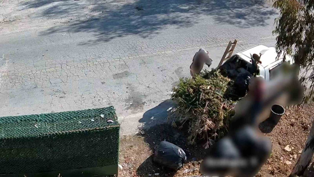 Bodrum'da çevre kirliliği: Belediye kameralarıyla tespit edilenlere idari işlem uygulandı