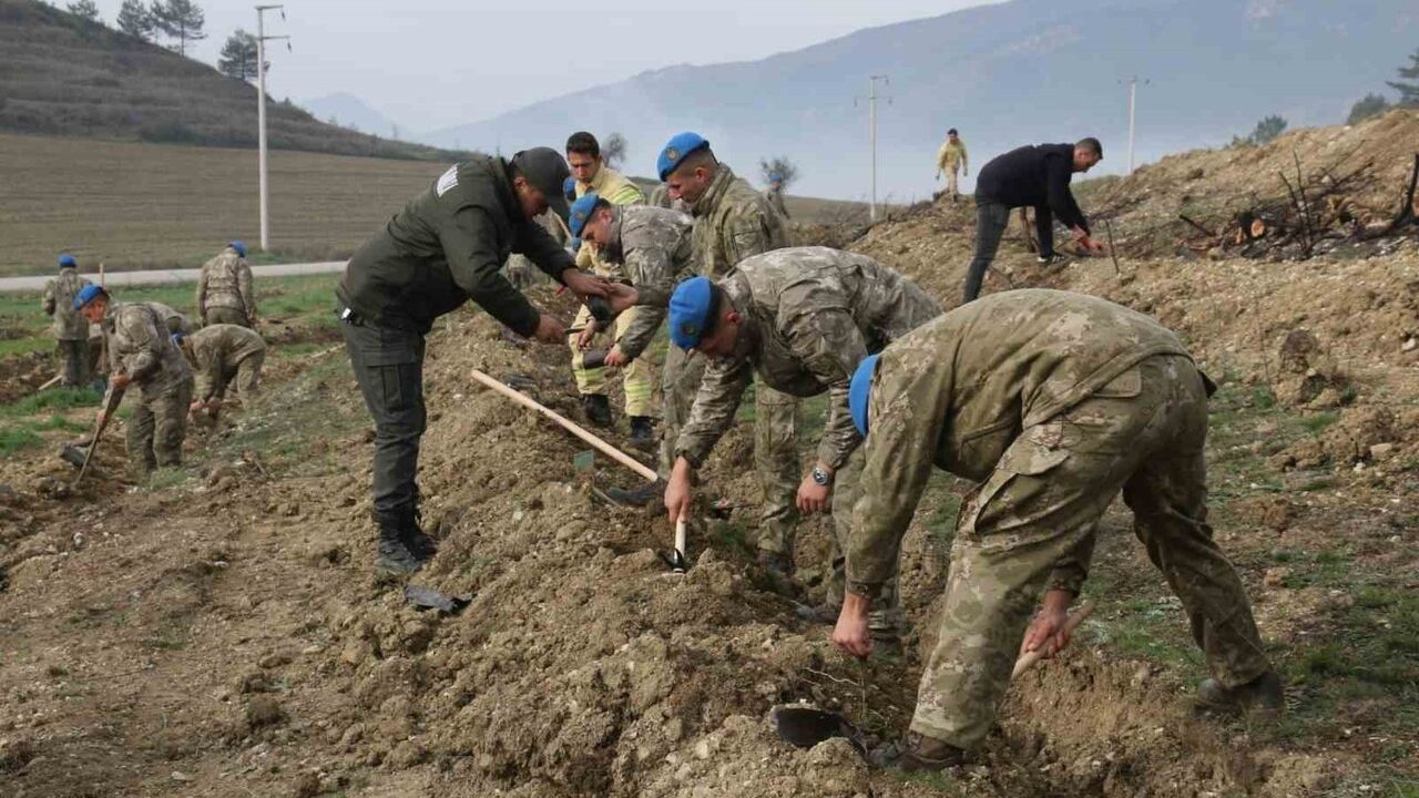 Bolu 2. Komando Tugayı Mudurnu'da yangın sahalarını yeşillendirdi