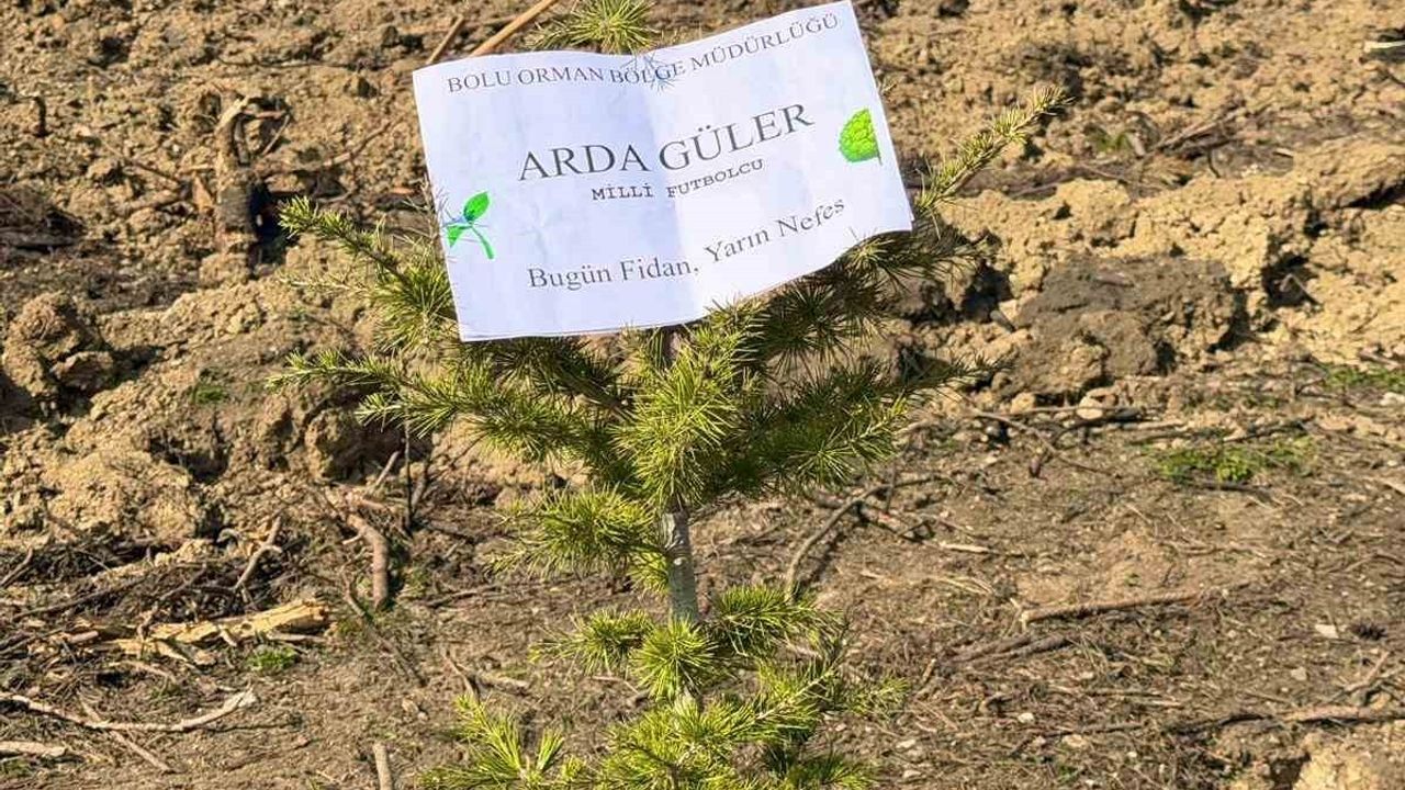 Bolu'da 11 Kasım Milli Ağaçlandırma Günü'nde Arda Güler adına fidan dikildi