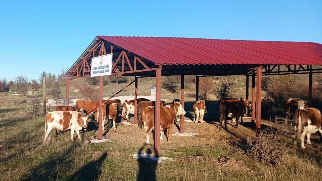 Bolu’da 44 kadına 2 milyon TL hibe destekli mikro kredi verildi