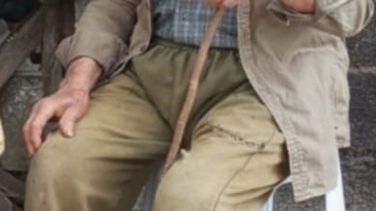 Bolu’da mantar toplamaya çıkan 88 yaşındaki Orhan Demir için geniş çaplı arama sürüyor