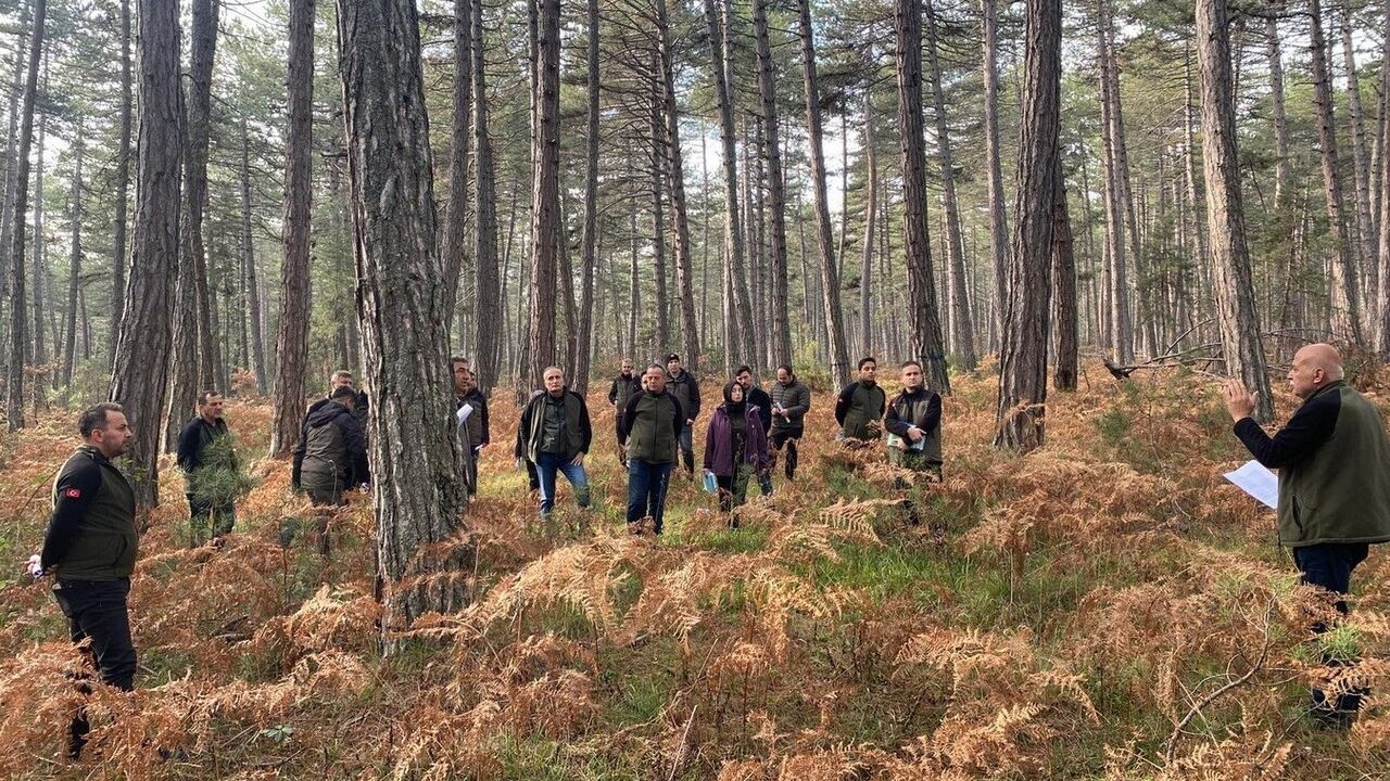 Bolu’da silvikültürel tatbikat: Mengen, Aladağ ve Yığılca’da sağlıklı orman hedefi
