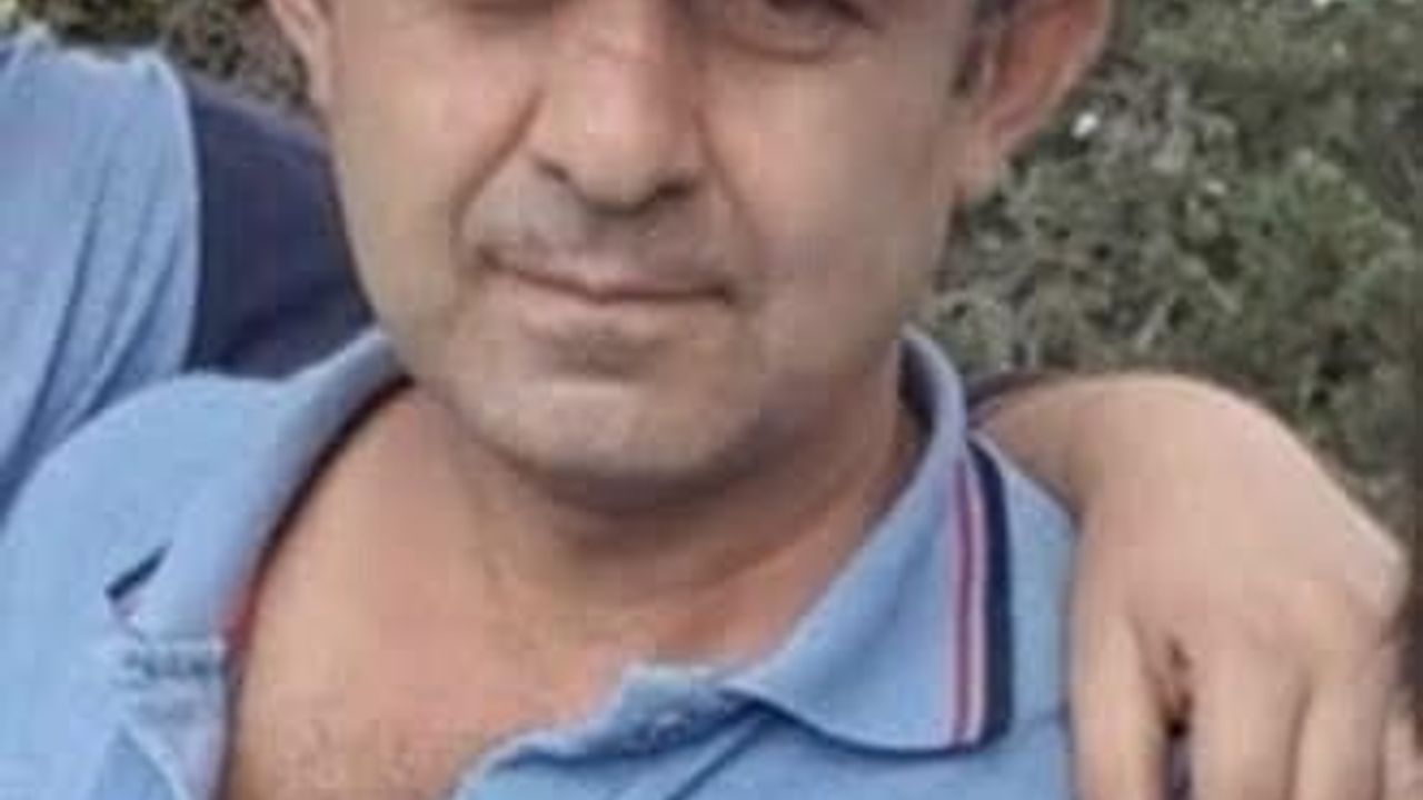 Bolu'da Yaka Fındıcak'ta kestiği ağacın devrilmesi sonucu bir kişi öldü