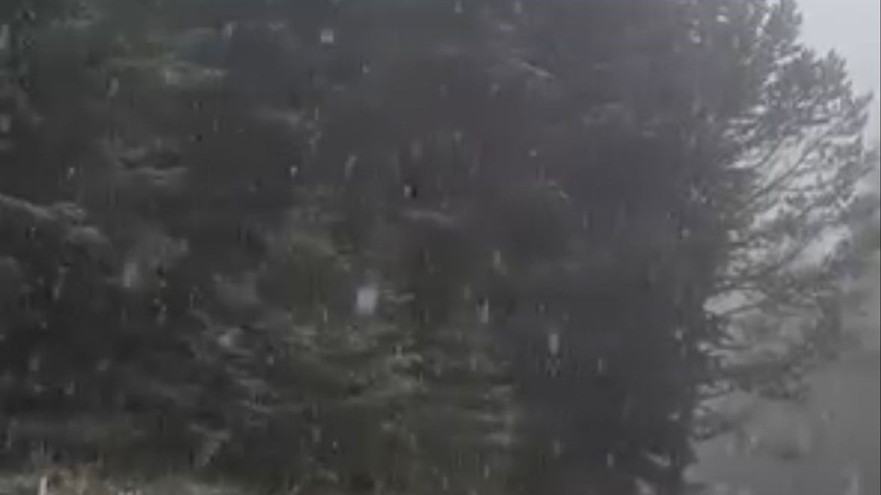 Bolu'nun yükseklerinde sabah başlayan kar yağışı etkili oldu