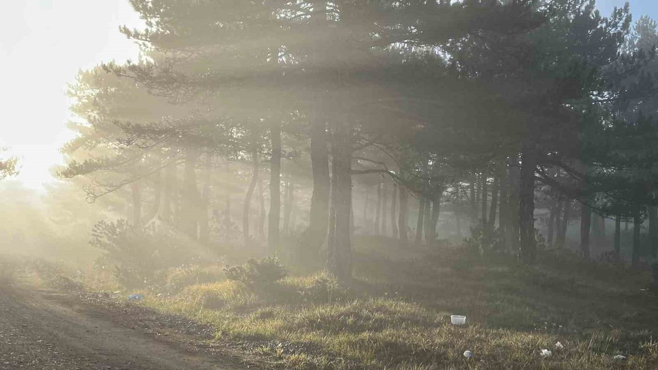 Bozdağ'da sabah sisi zirvede kartpostallık manzaralar oluşturdu
