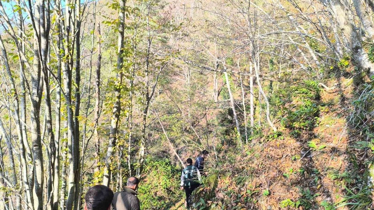 Bozkurt'ta 9 gündür aranan Huriye Helvacı'nın cansız bedeni bulundu