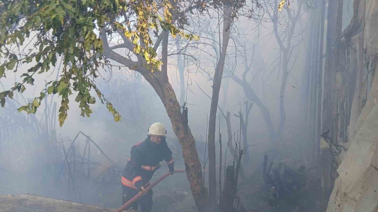 Bozyazı'da sabah çıkan yangın seralarda hasara yol açtı