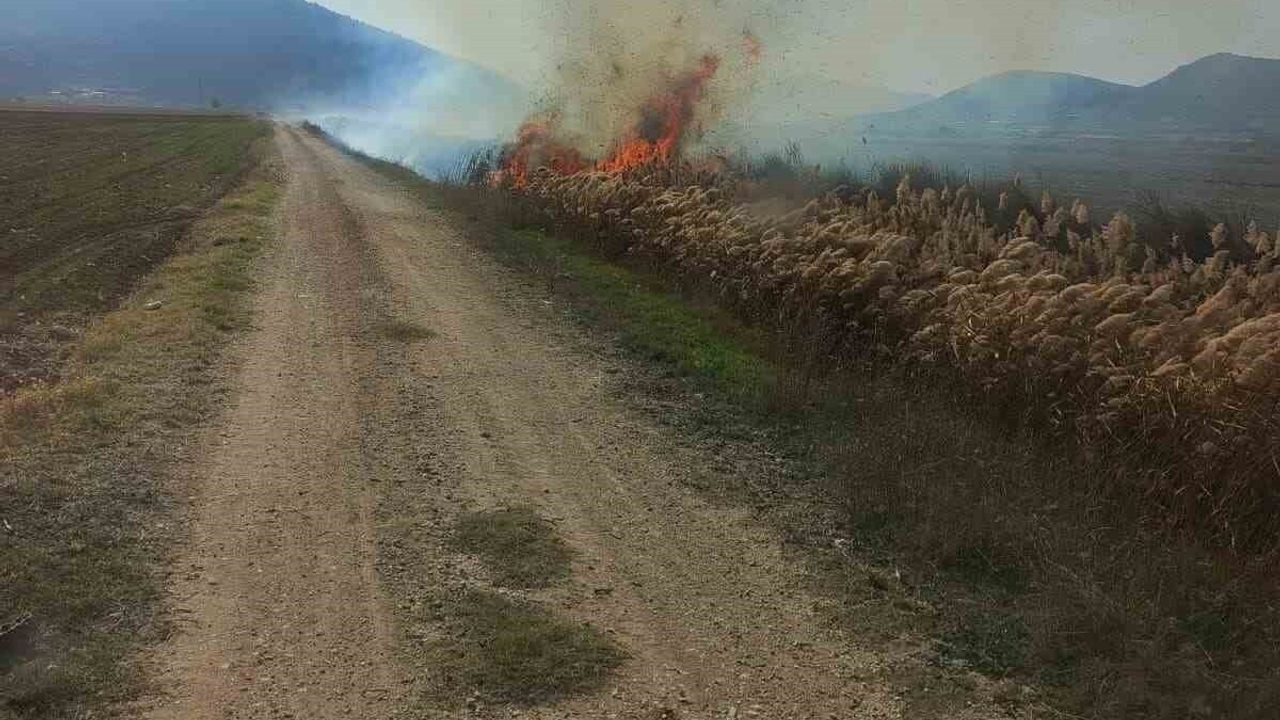 Bucak’ta sazlık yangını itfaiye ekiplerinin müdahalesiyle söndürüldü