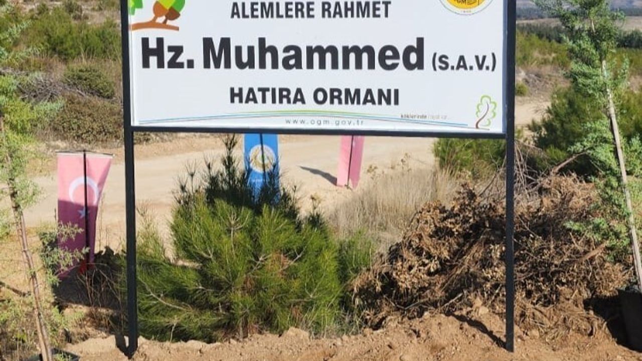 Buldan'da Peygamberimizin 1500. Doğum Yılı Anısına Hatıra Ormanı Oluşturuldu