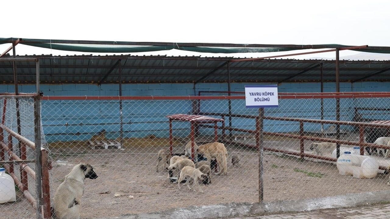Bünyan'da 'Sokak Hayvanları Doğal Yaşam Alanı' hizmete sunuldu