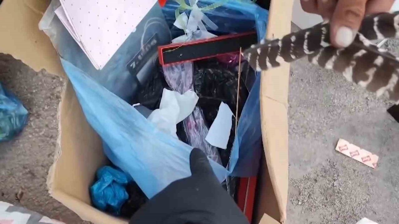 Bursa'da 'Atık Avcısı' ikilisi çöplerdeki değerli eşyaları kurtarıyor