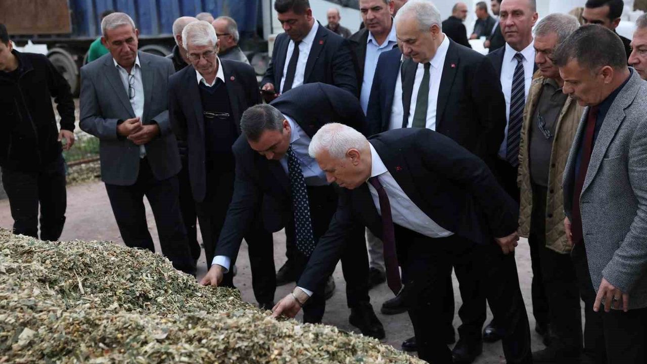 Bursa'da çiftçilere silaj paketleme desteği: Kayıplar sıfırlanıyor, gelir %40 artıyor