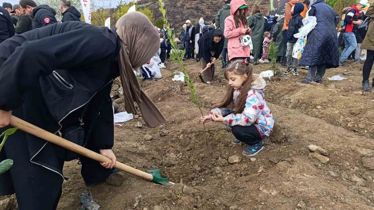 Bursa’da yanan ormanlar Milli Ağaçlandırma Günü’nde fidanlarla yeniden yeşeriyor