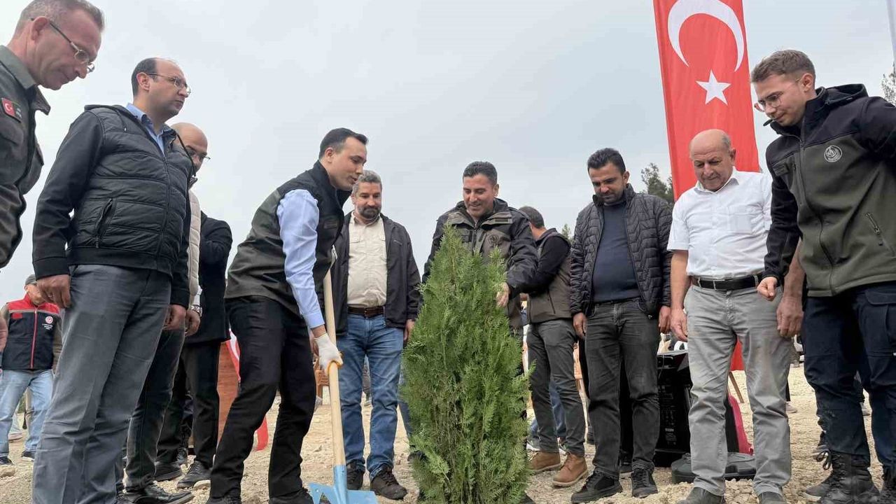 Çamlıyayla Belçınar Atdağı'nda yüzlerce fidan toprakla buluştu
