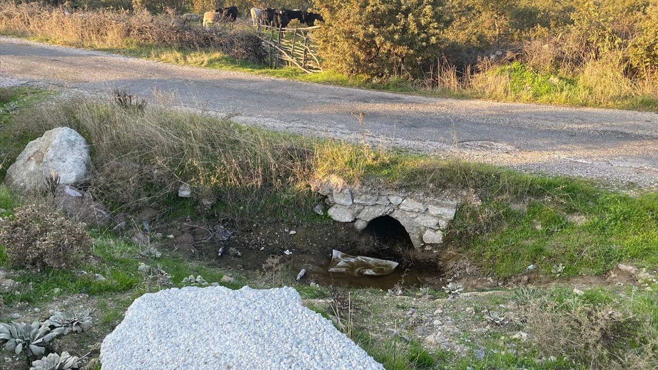 Çanakkale Ayvacık'ta boş arazide kız bebeği cesedi bulundu