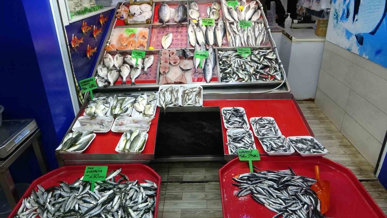 Çanakkale’de hamsi ve sardalya tezgahlarda fiyatını koruyor, lüfer yükseldi palamut azaldı