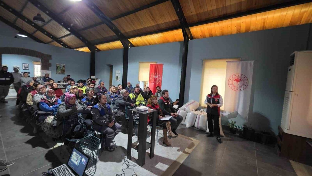 Çanakkale'de Kahverengi Kokarca ile Biyolojik Mücadeleye 4 Bin Samuray Arısı Salındı