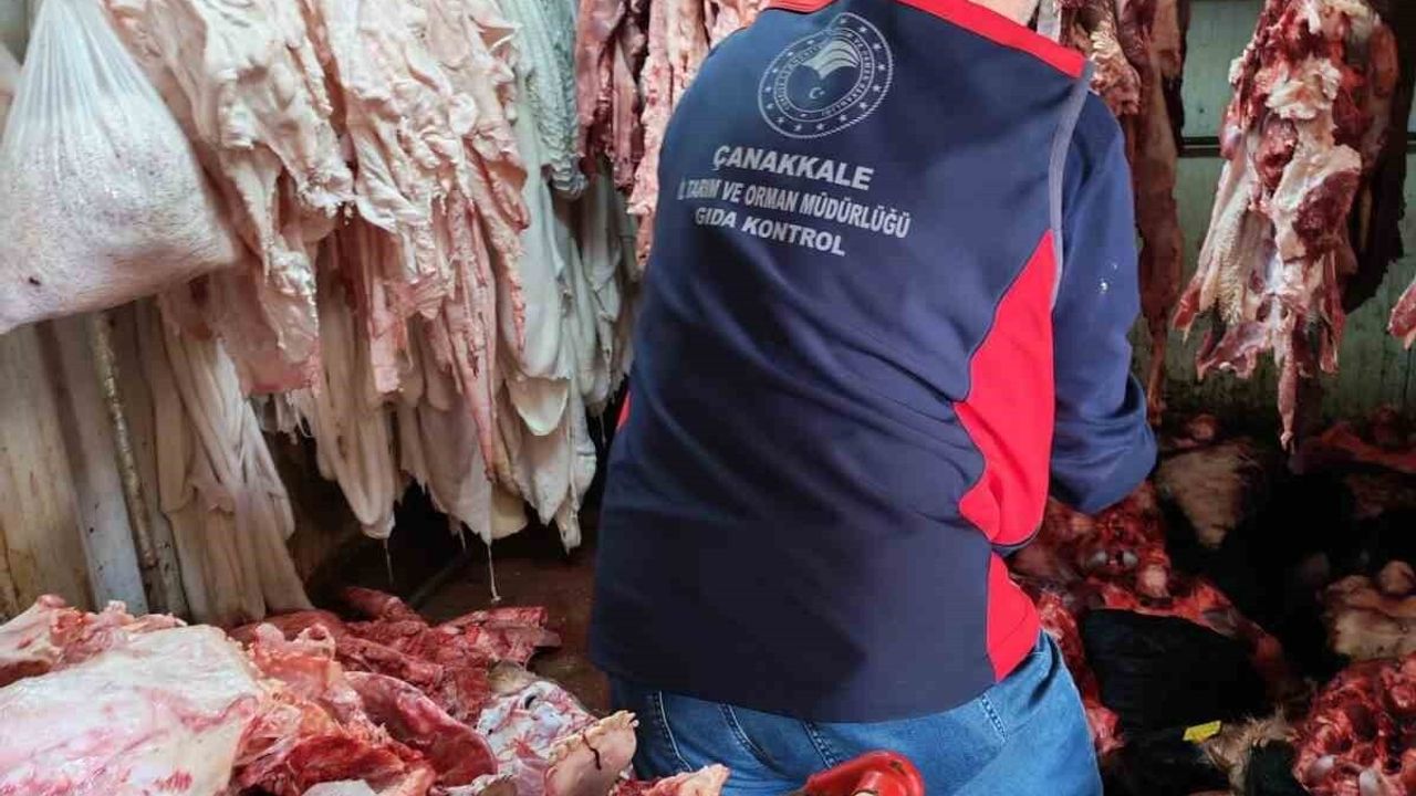 Çanakkale'de Onaysız Et ve Sakatat İşleyen İşletme Mühürlendi