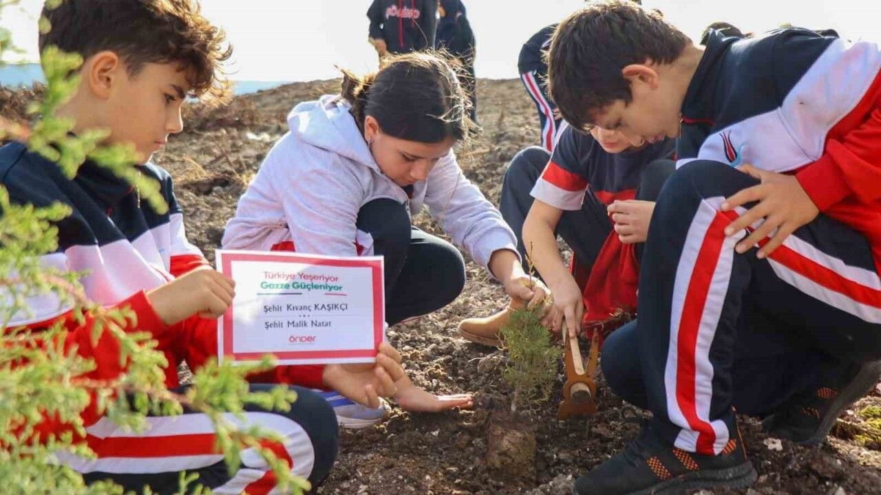 Çanakkale'de 'Türkiye Yeşeriyor, Gazze Güçleniyor' sloganıyla şehitler anısına 50 fidan dikildi