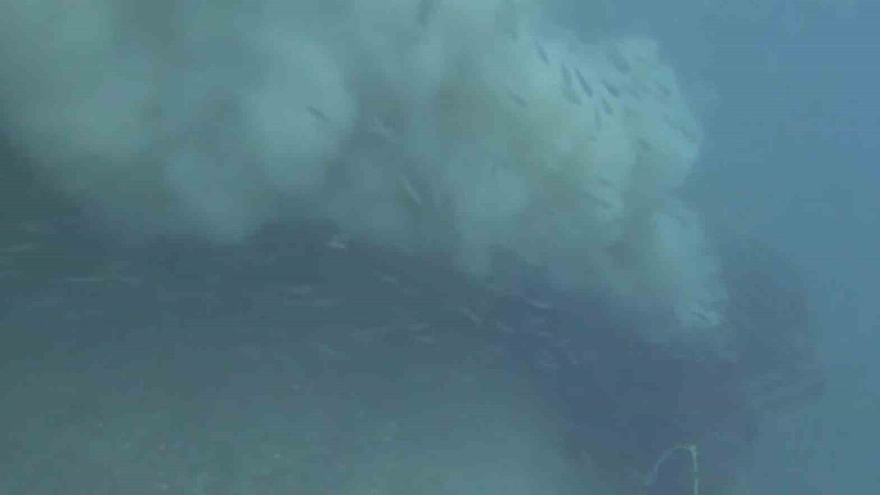 Çanakkale Kepez açıklarında dalgıç Müjdat Turan boğaza dökülen atık suyu su altında kaydetti