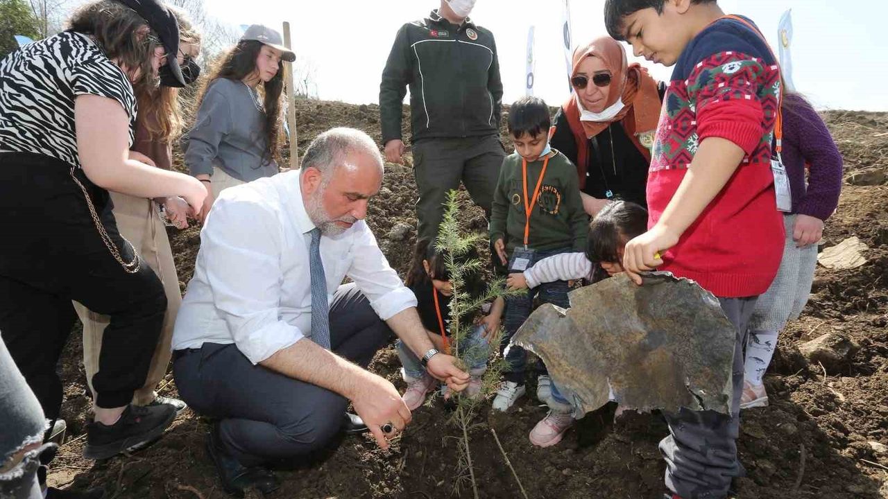 Canik'te 11 Kasım Milli Ağaçlandırma Günü'nde fidanlar toprakla buluştu