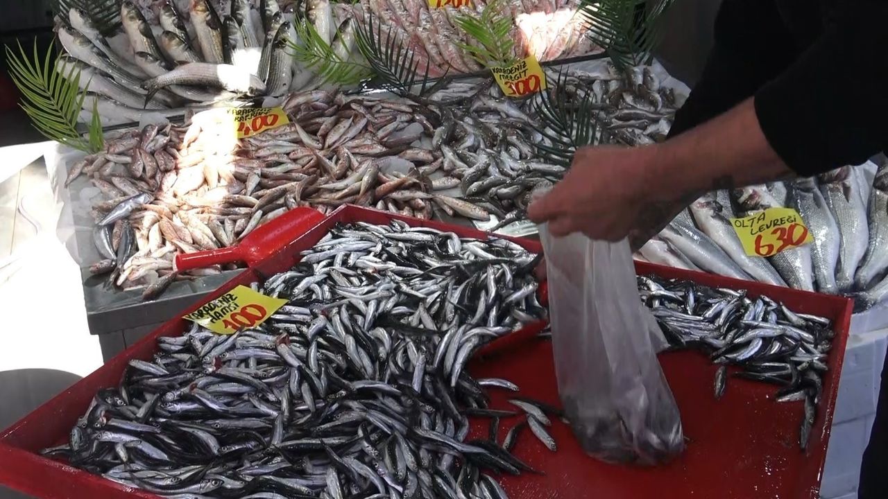 Çankırı’da hamsi kilogramı 100 TL’ye düştü: Balık bolluğu tüketiciyi memnun etti