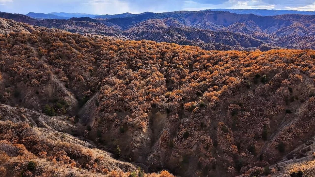 Çankırı Yapraklı'da Sonbahar: Ormanlarda Renk Cümbüşü Havadan Görüntülendi