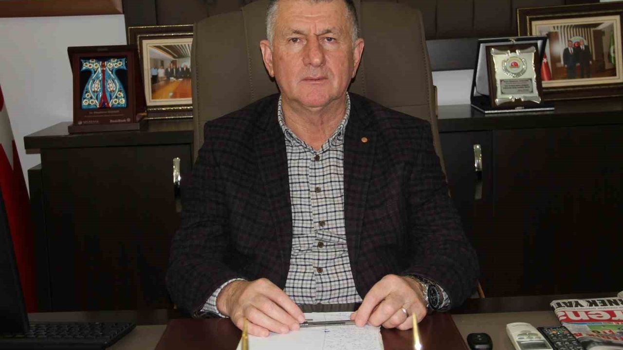 Çarşamba Ovası tarımdan uzaklaşıyor: Fındık ve kavak üretimi artıyor