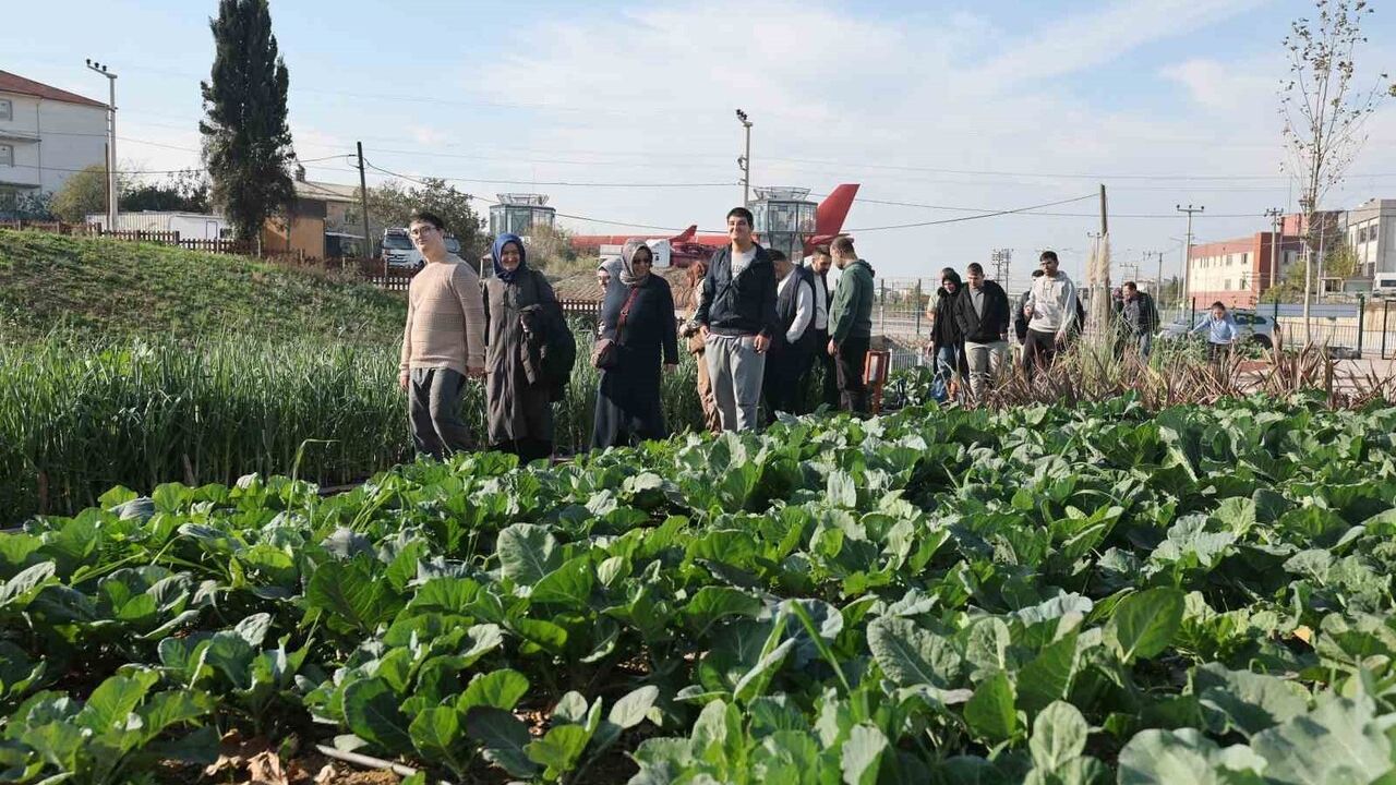 Çayırova’da Özel Bireyler Bahçem Çayırova’da Doğayla Buluştu