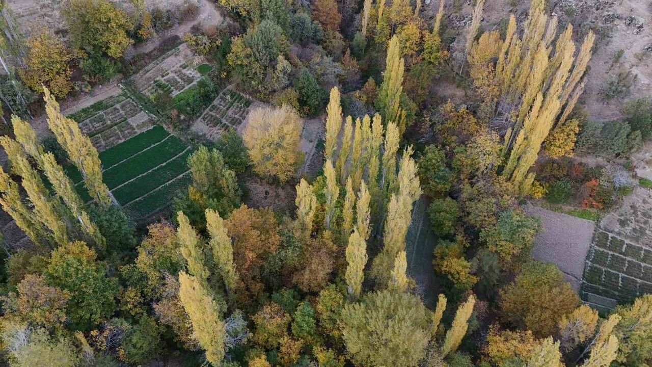 Çüngüş Atalar Mahallesi'nde Asırlık Kerpiç Evlerde Sonbahar Renkleri