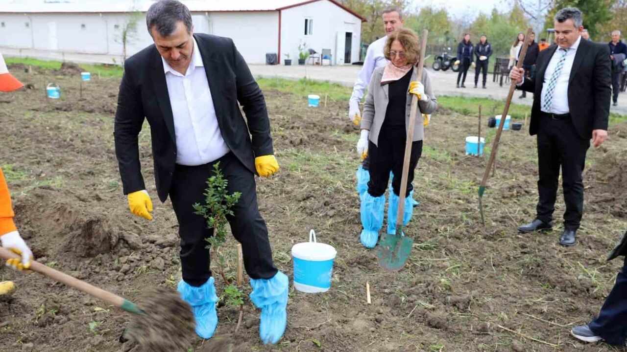 Dalaman Açık Ceza İnfaz Kurumu'nda 12 dekar Sakız ağacı bahçesi kuruldu