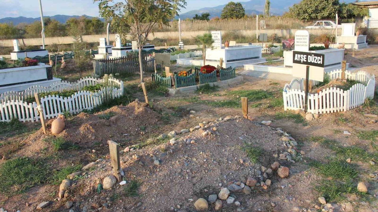 Danıştay, Efeler Kuyulu'daki mezarlık kararını iptal etti: 14 bin 600 m² tarım arazisine geri dönüş öngörülüyor