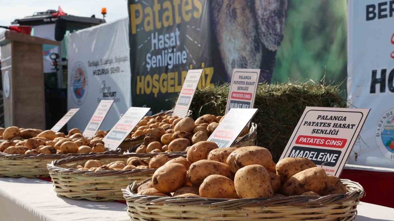 Darende'de İlk 'Yerli Patates Tohumu Şenliği' Düzenlendi