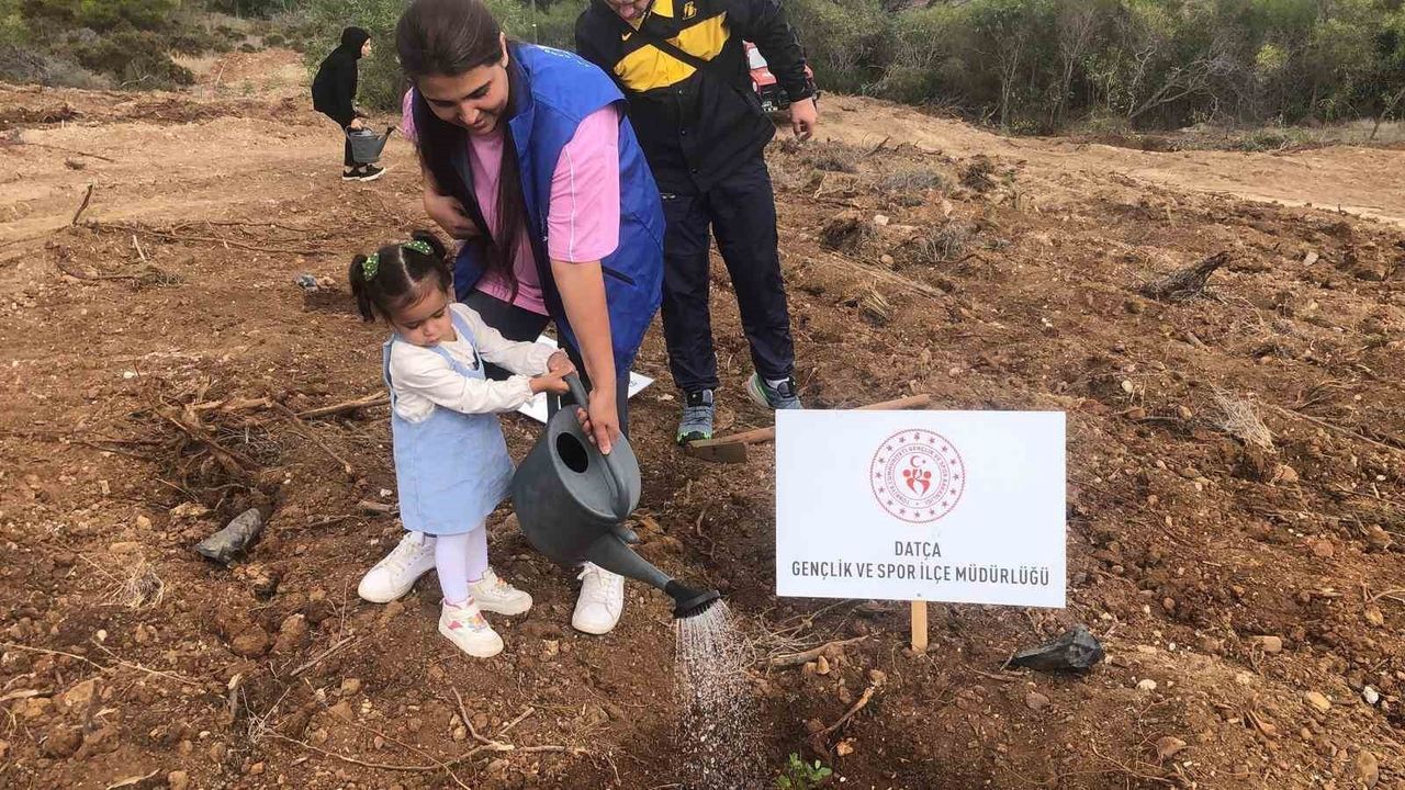 Datça'da Milli Ağaçlandırma Günü'nde 300 fidan toprakla buluştu