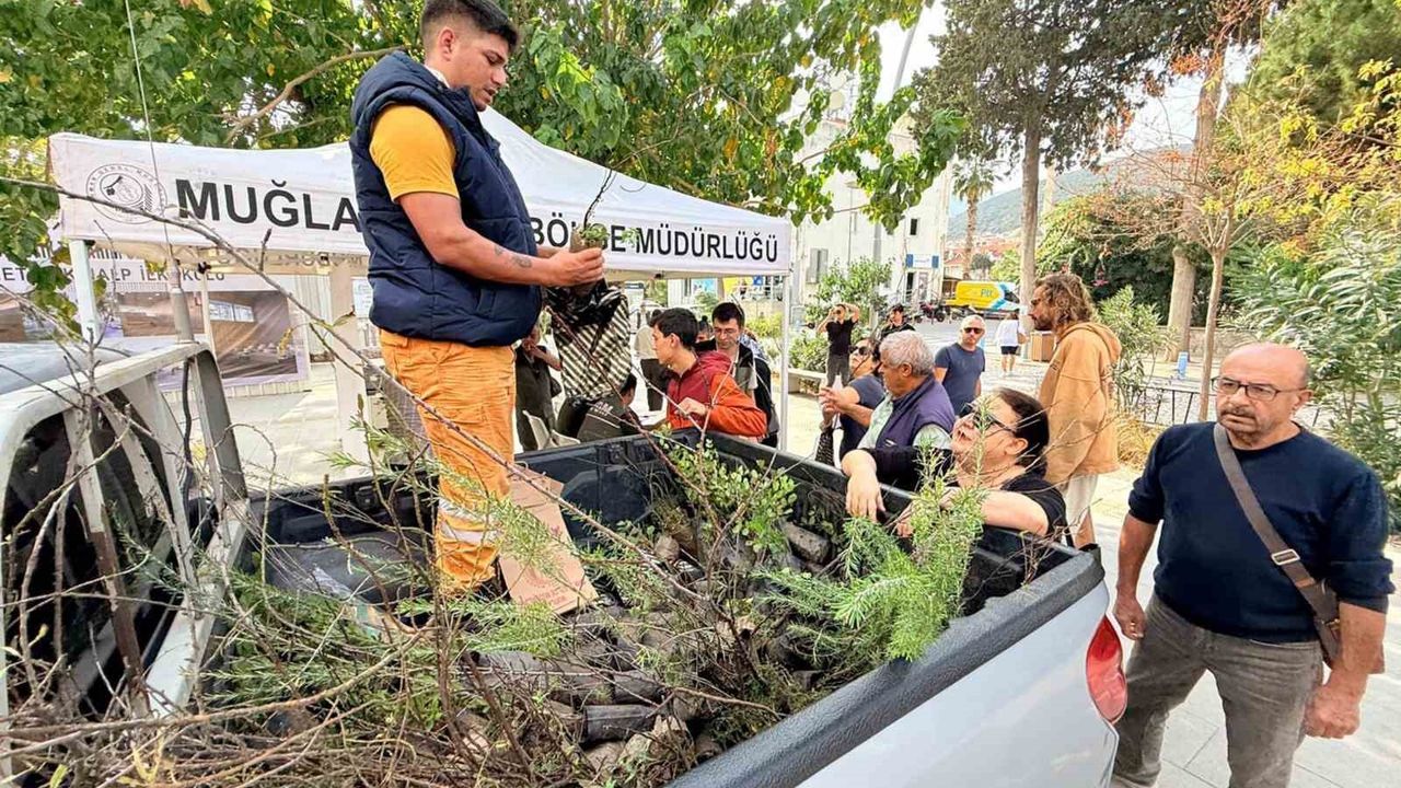 Datça'da 'Yeşil Vatan' Seferberliği: Ücretsiz Fidan Dağıtımı Başladı