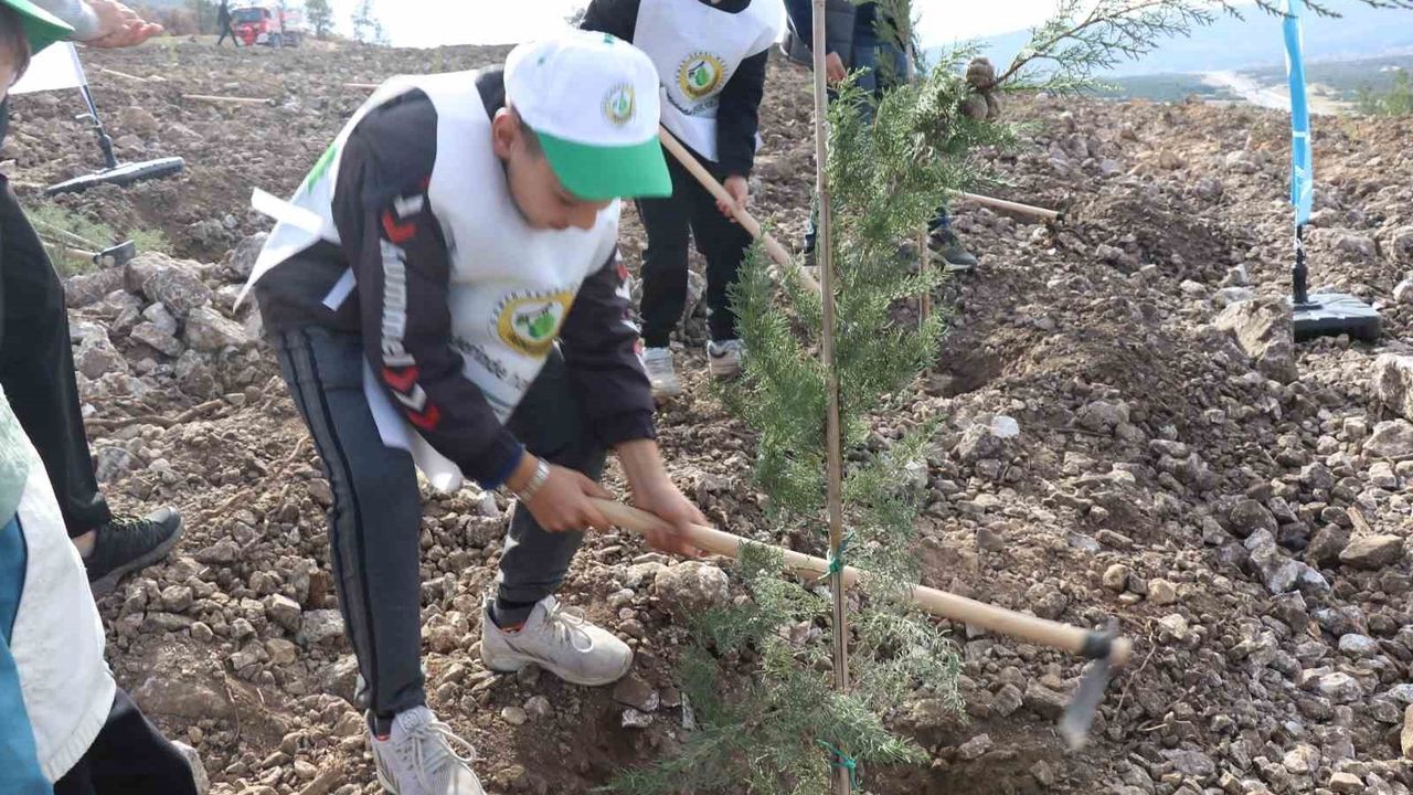 Denizli'de Honaz Milli Parkı'nda binlerce fidan toprakla buluştu