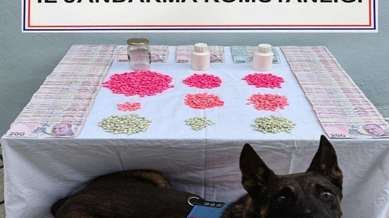 Denizli'de uyuşturucu operasyonu: 2 bin 149 extacy hap ve 60 bin 600 TL ele geçirildi