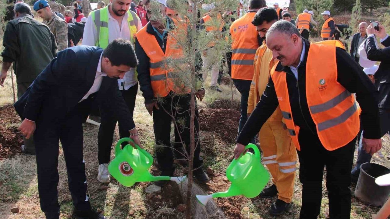 DEPSAŞ Enerji, Diyarbakır Makam Dağı'na 3 bin fidan dikti