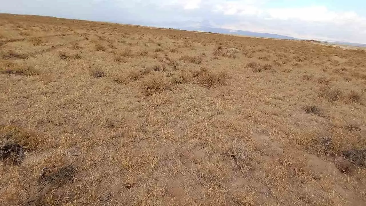 Develi’de 4 bin 800 dekar mera ıslahı 33 çiftçiye kiralandı