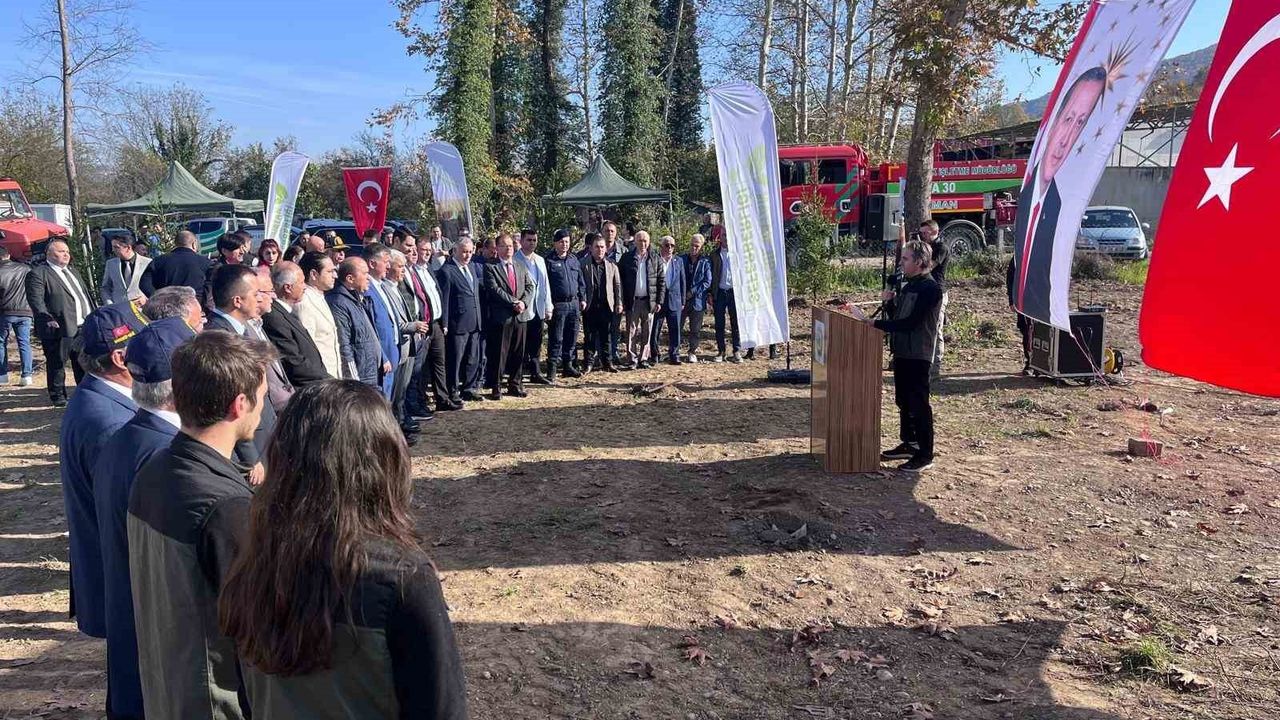 Devrek’te 11 Kasım Milli Ağaçlandırma Günü'nde 400 fidan toprakla buluşturuldu