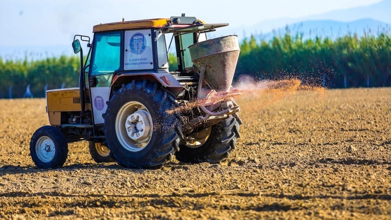 Didim Belediyesi Balat Mahallesi'nde 70 Dönümlük Arazide Buğday Ekimini Tamamladı — 'Didyma' Markasıyla Yerel Üretimi Güçlendirme Hedefi