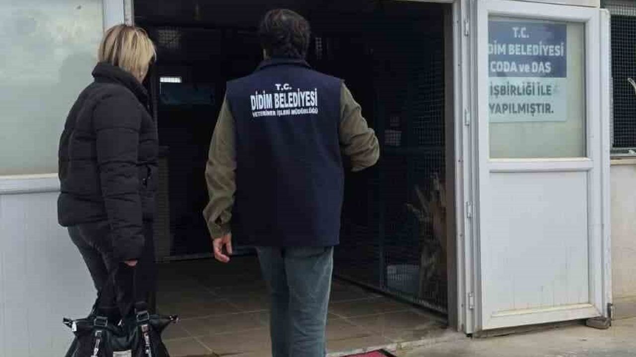 Didim Belediyesi, hayvan hakları çalışmalarını sivil toplumla güçlendiriyor