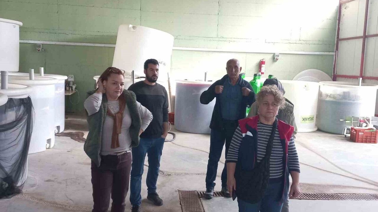 Didim'de organik zeytin ve zeytinyağı üretim alanlarında kapsamlı denetim